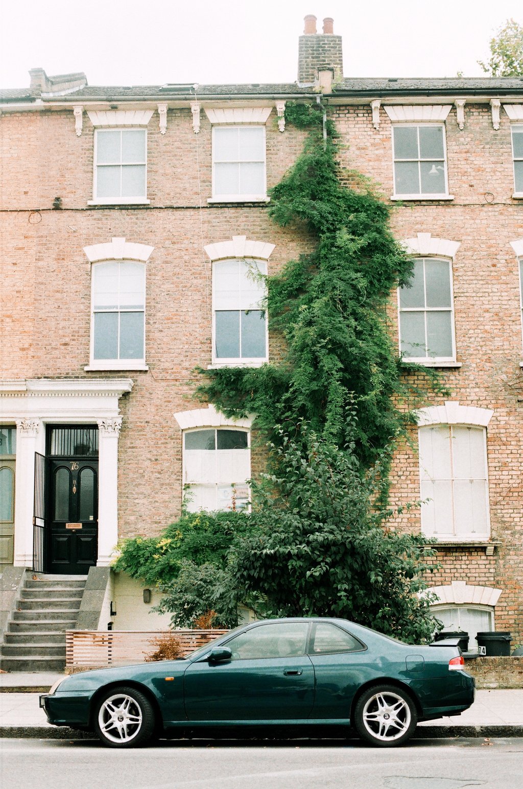 Brown and White Concrete Apartment and Green Ivy Plants